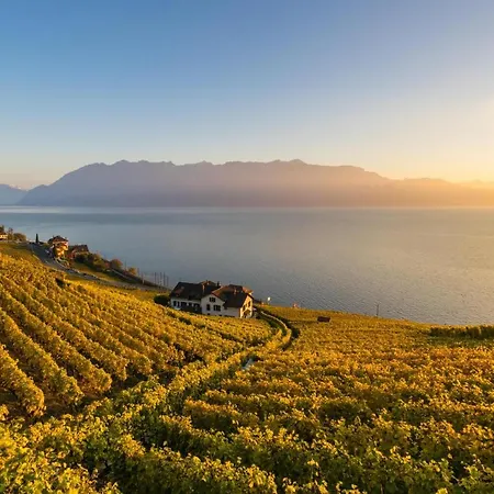 Riviera Montreux Ubytování v soukromí *